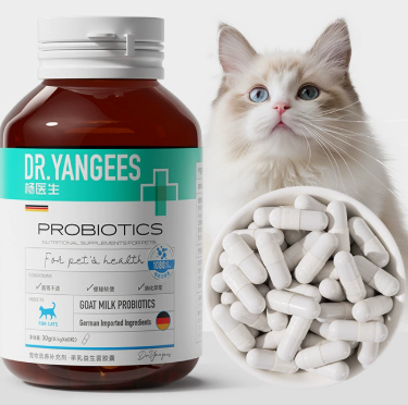Senior Pet Health Supplements for Stronger Bones and Joints