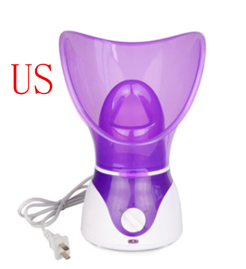 Ion Hot Spray Steamer for Home Facial Steam Beauty Care
