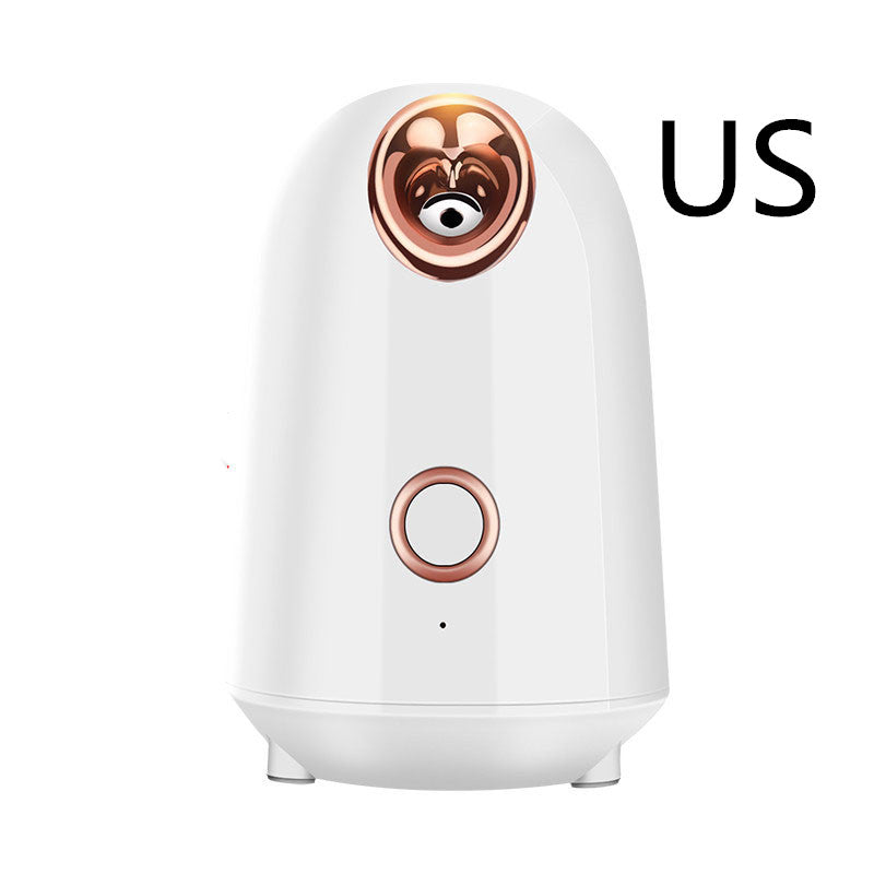 Nano Thermal Spray Moisturizing Face Steamer for Skin Care