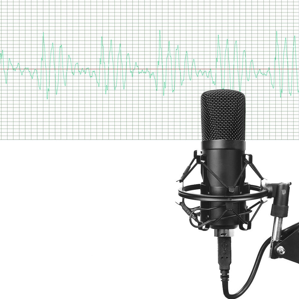 Microphone Set – Studio-Quality Audio for Musicians & Streamers