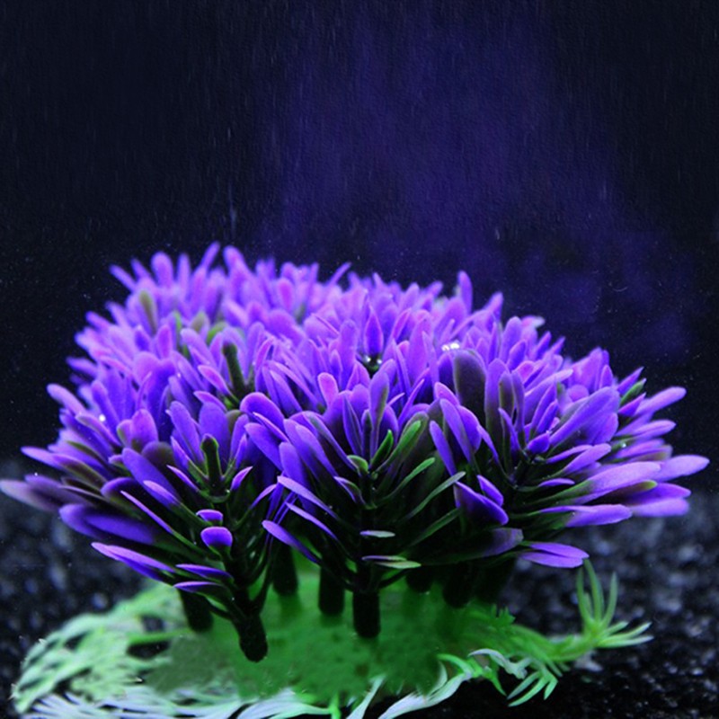 Buy Fish Tank Landscaping Aquarium Accessories for Stunning Decor