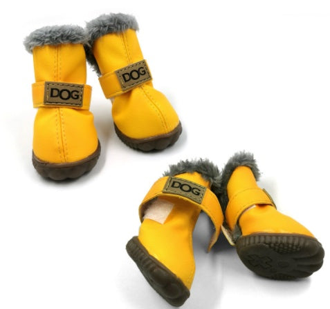 Buy Stylish Pet Shoes & Socks for Indoor and Outdoor Comfort