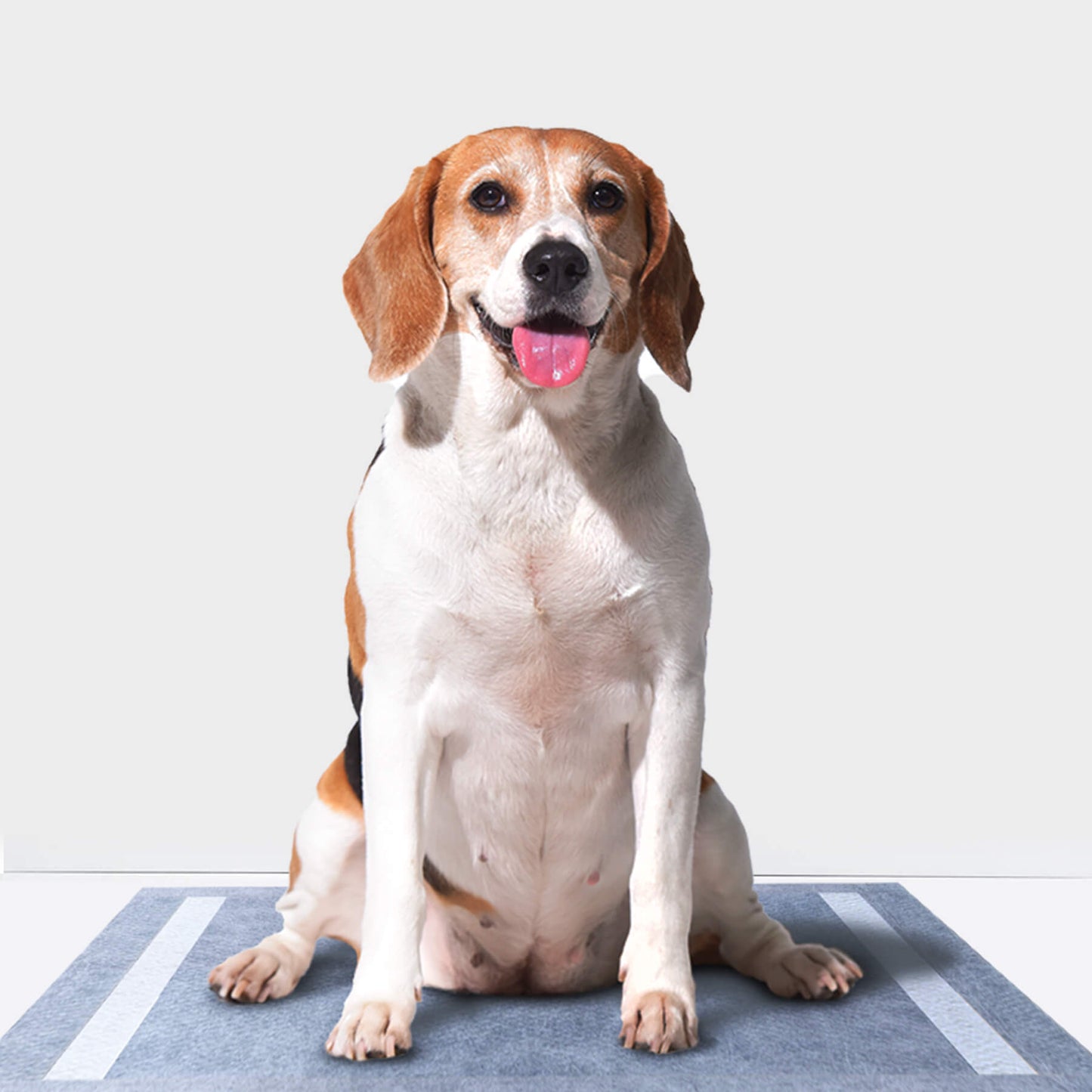 PETMARVEL Disposable Charcoal Puppy Pads for Odor Control