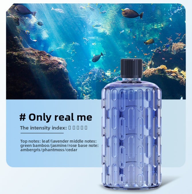 Automatic Fragrance Sprayer with Timer and Essential Oil Diffuser