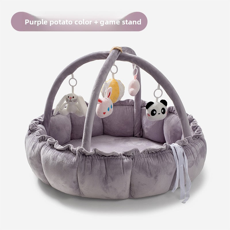 Baby Fitness Frame
