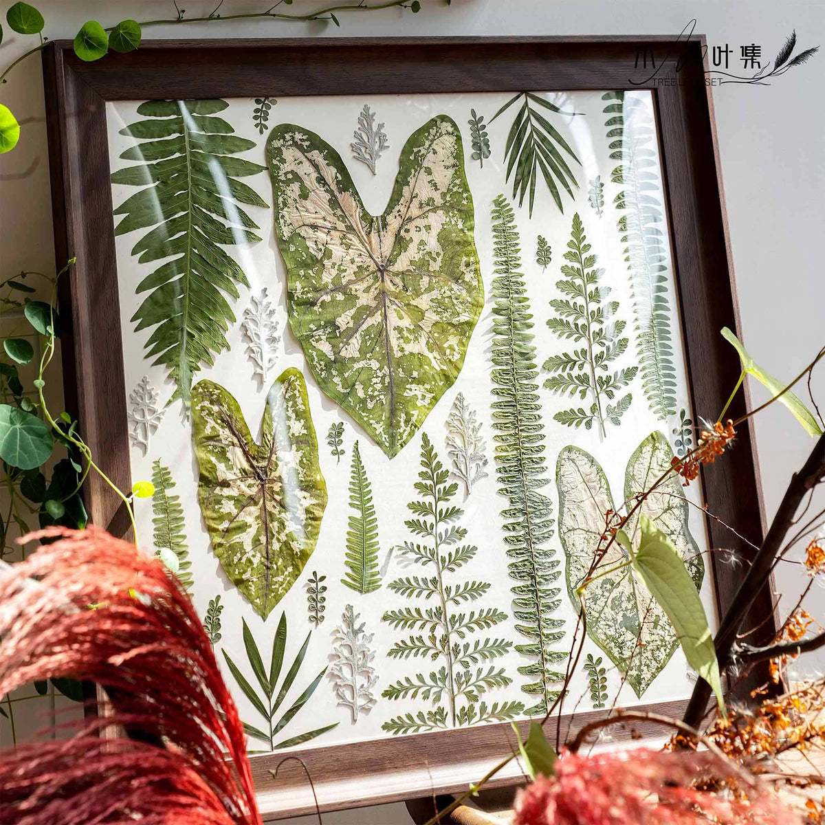 Botanical Pressed Flower Wall Art Frame