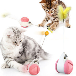 Cat toys, cat teaser sticks, slow food dispensers, leaky food balls