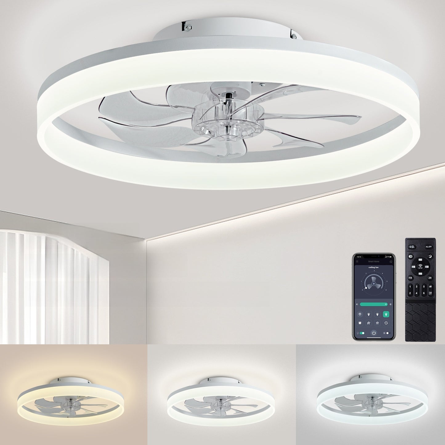 Ceiling Fan Light