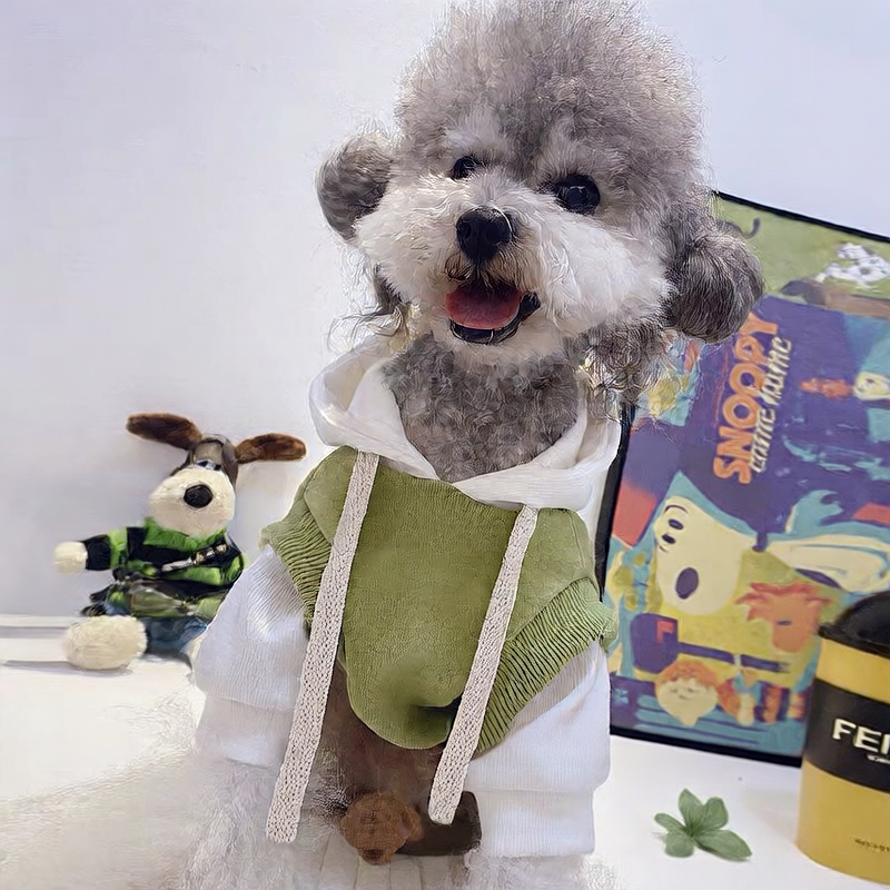 Cute hooded and fleece warm hoodie dog clothing