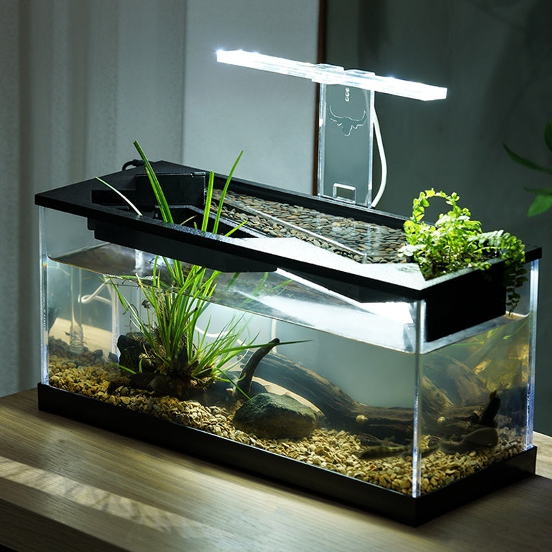 Acrylic Filter Lazy Aquarium – Heating & Lighting Integrated