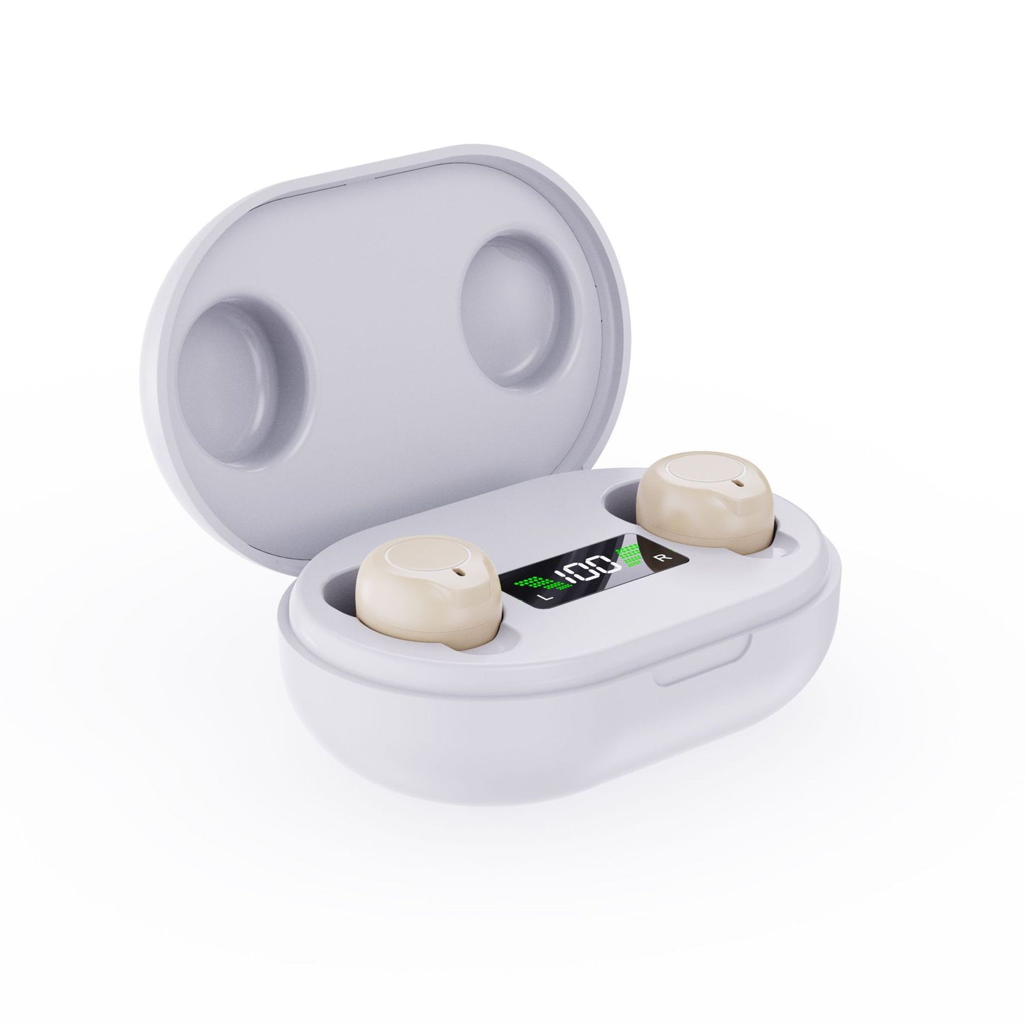 Digital Hearing Aid with Charging Case