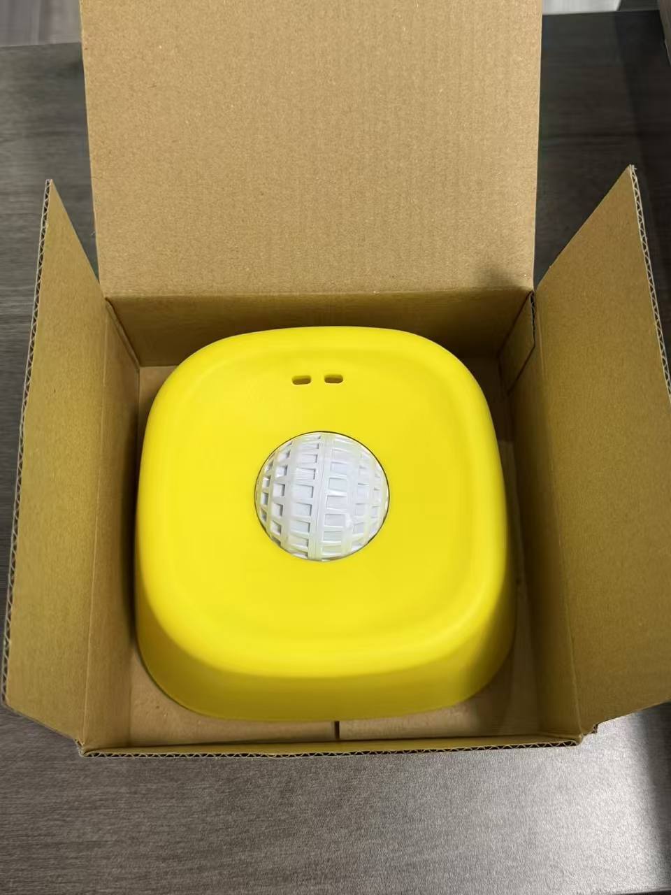 Dog Slow Feeder Lick Bowl