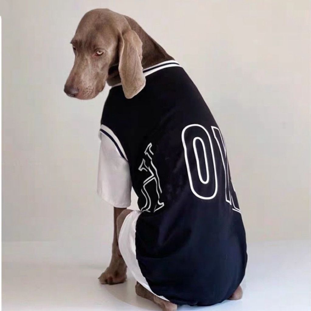 Dog Summer Two Piece Outfit