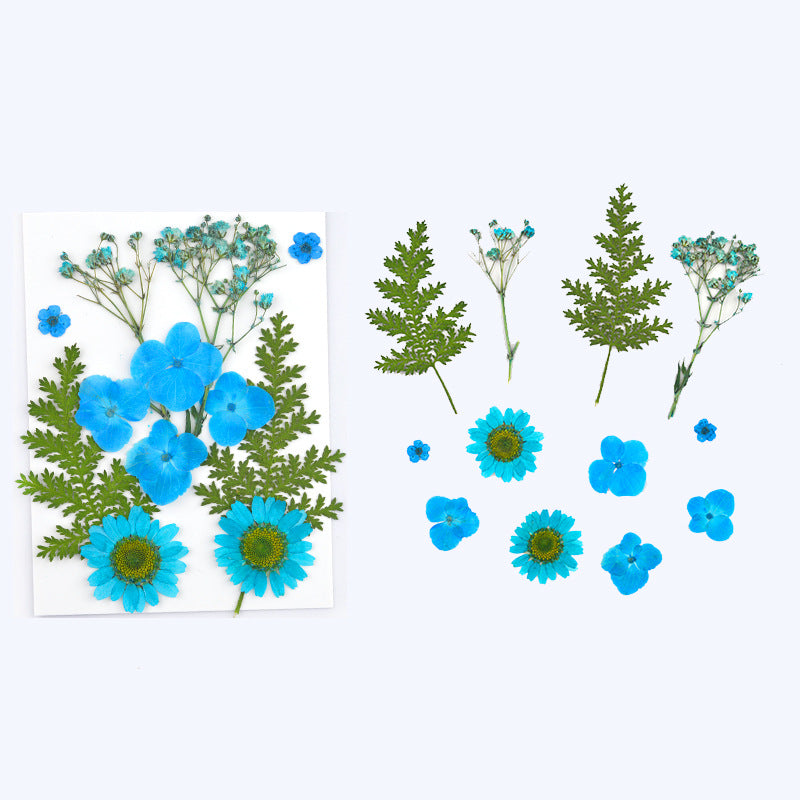 Dried Flower Assortment for DIY Crafting