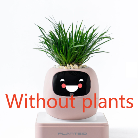 Electronic pet toy