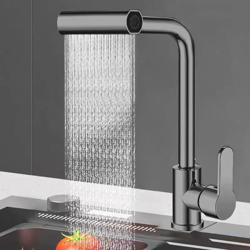 Fortunate Cat Stainless Steel Faucet