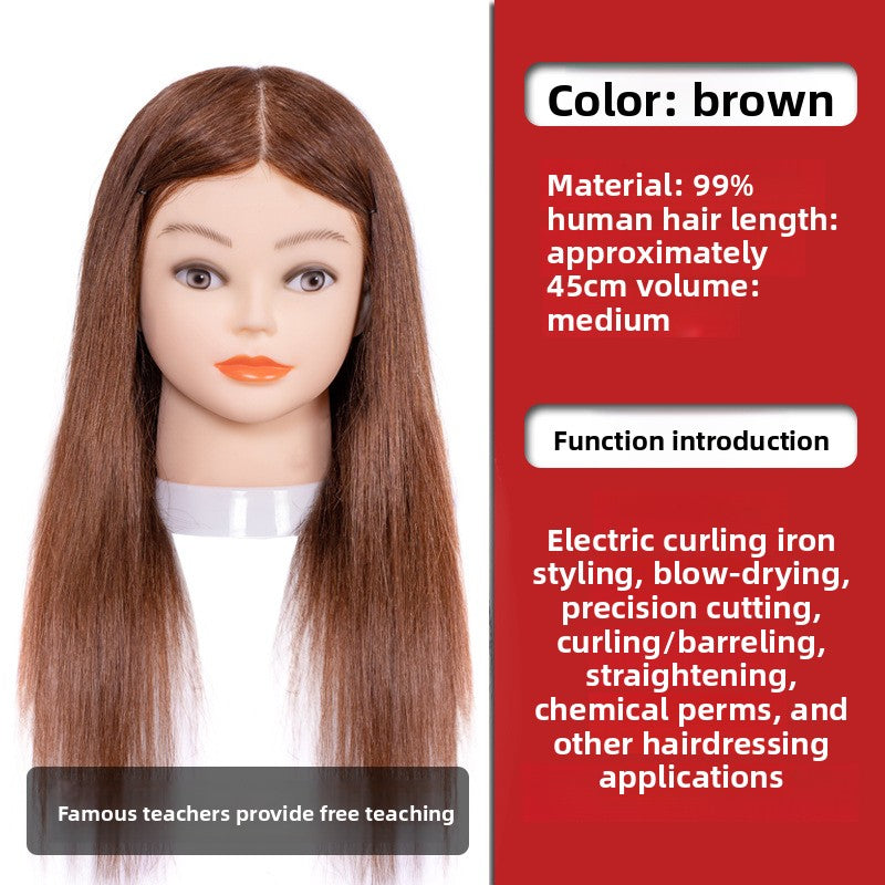 Hair Practice Head