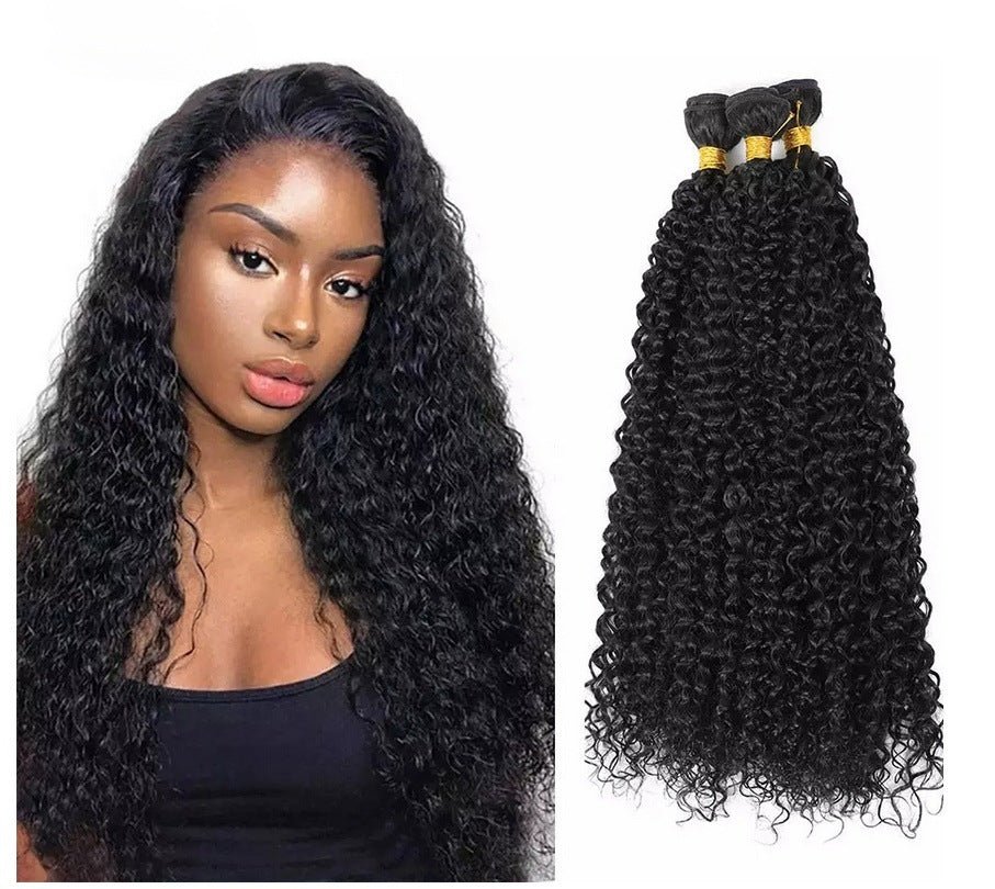 Kinky Curly Human Hair Wig