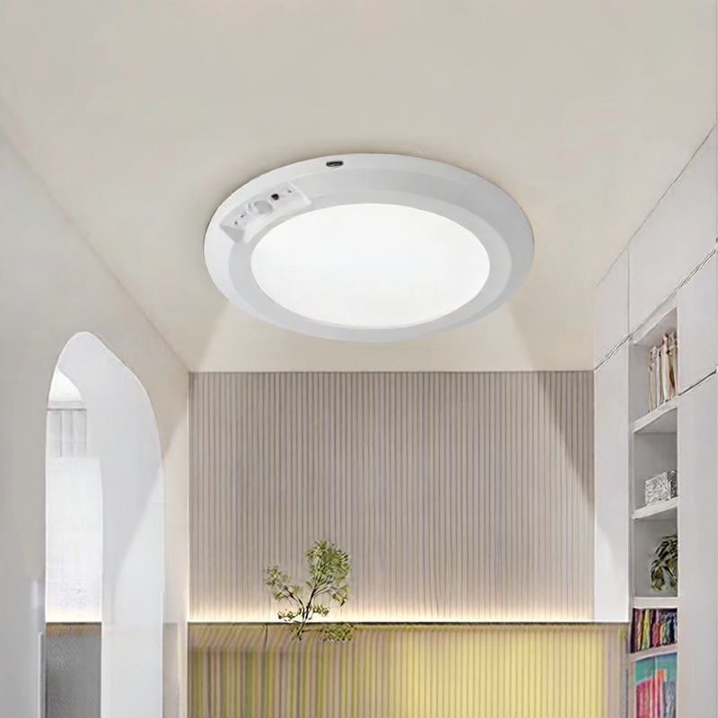 LED ceiling lamp