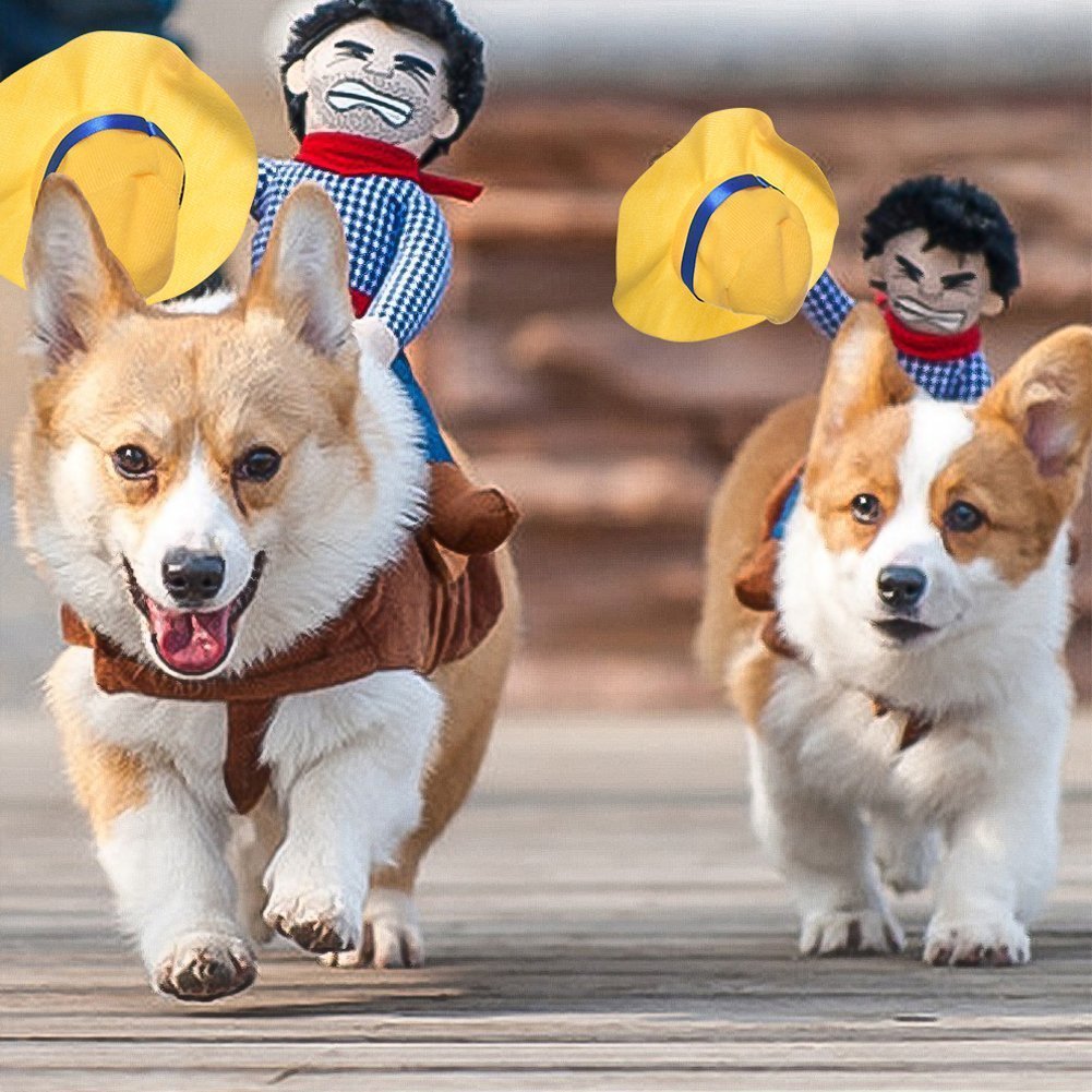 Pet Horse Riding Costume for Dogs