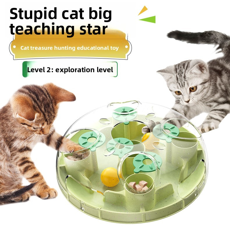 Pet puzzle toy