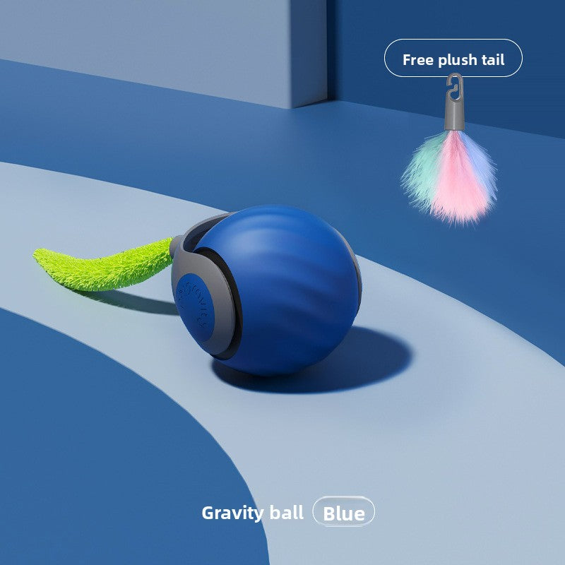 Pet toy