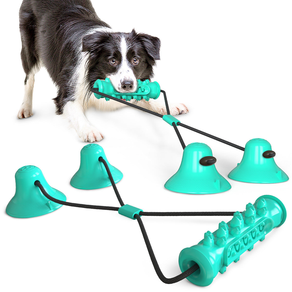 PetMolar Amazon Explosions Dog Toy Double Suction Cup Pull Rope Molar Bite Resistant Tooth Cleaning Rod Pet Supplies 01