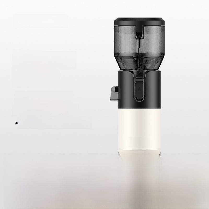 Raw juicer