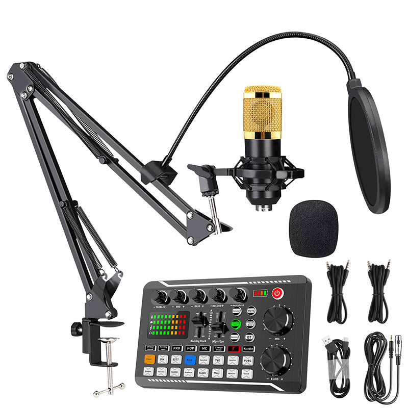 Rechargeable Live Broadcast Sound Card with Microphone