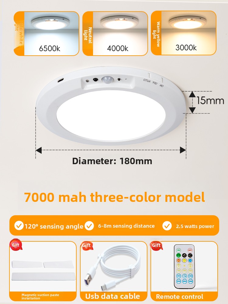 Rechargeable Motion Sensor Ceiling Light