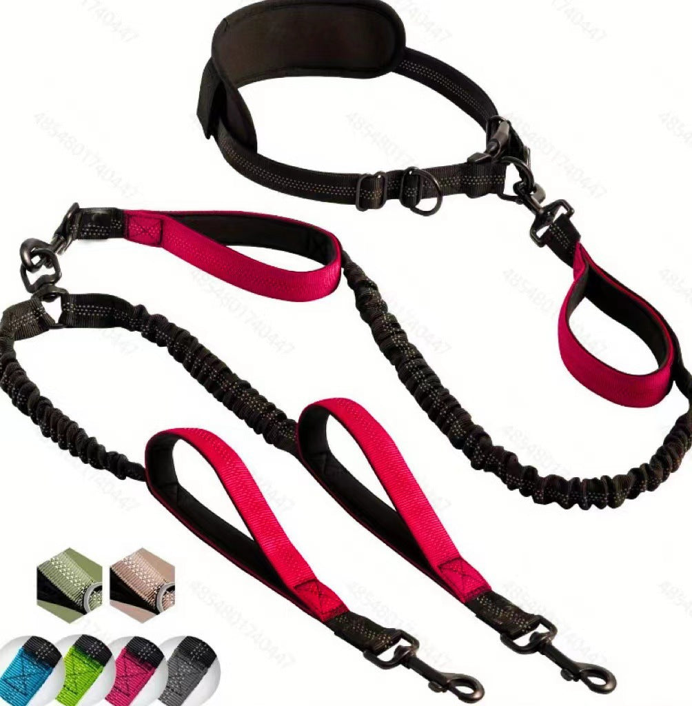 Reflective Dog Leash