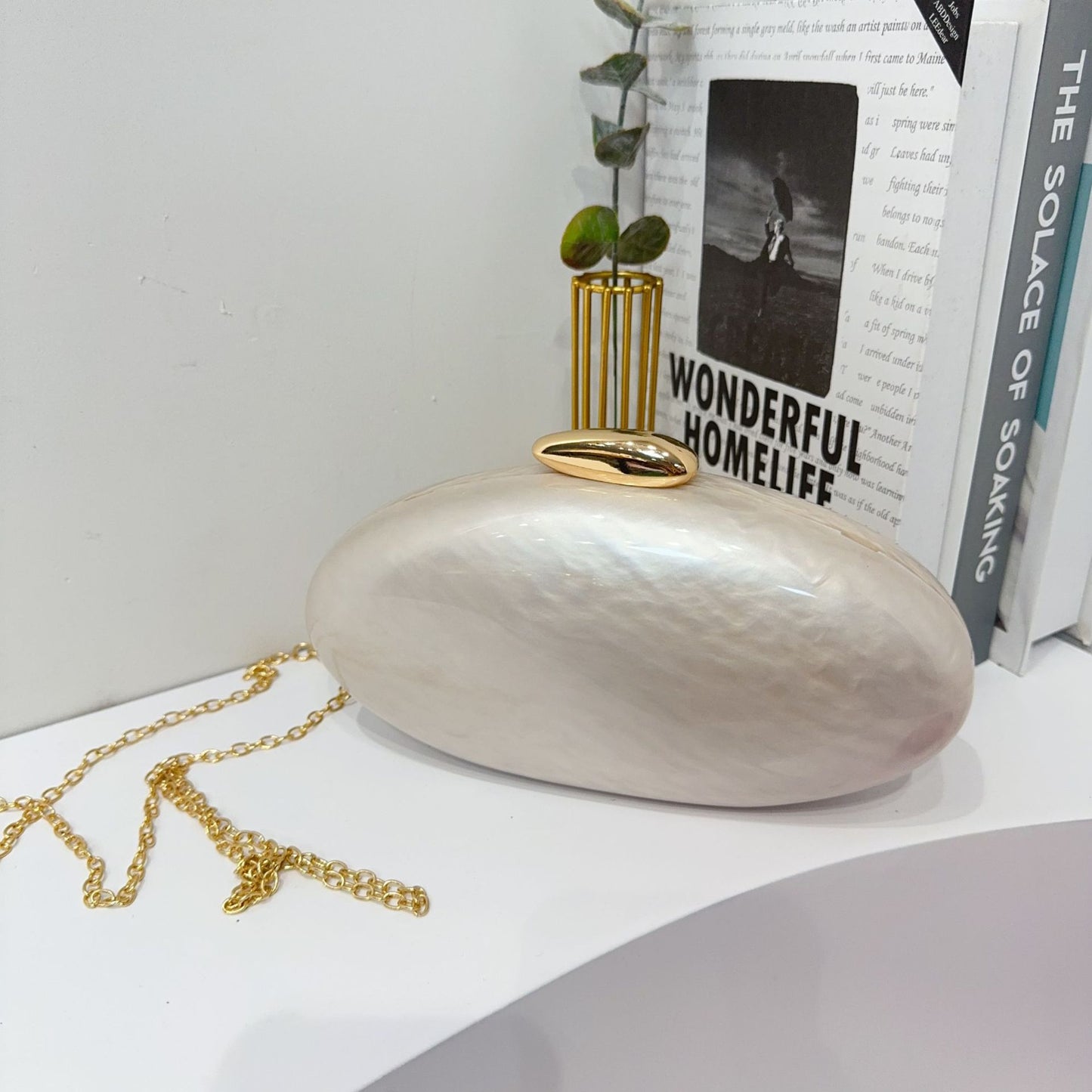 Shell Shaped Acrylic Evening Clutch Bag