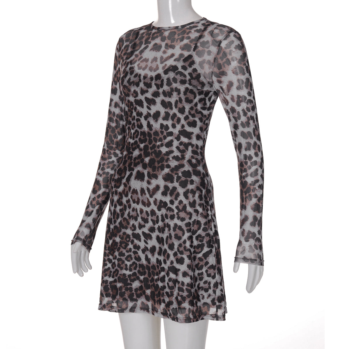Shemoda Mesh Leopard Print Two-Piece Dress Set