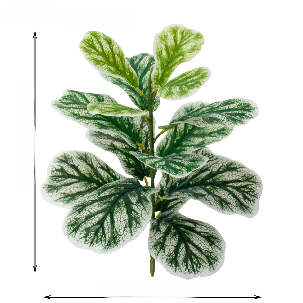 Simulation of green plant piano leaf Banyan