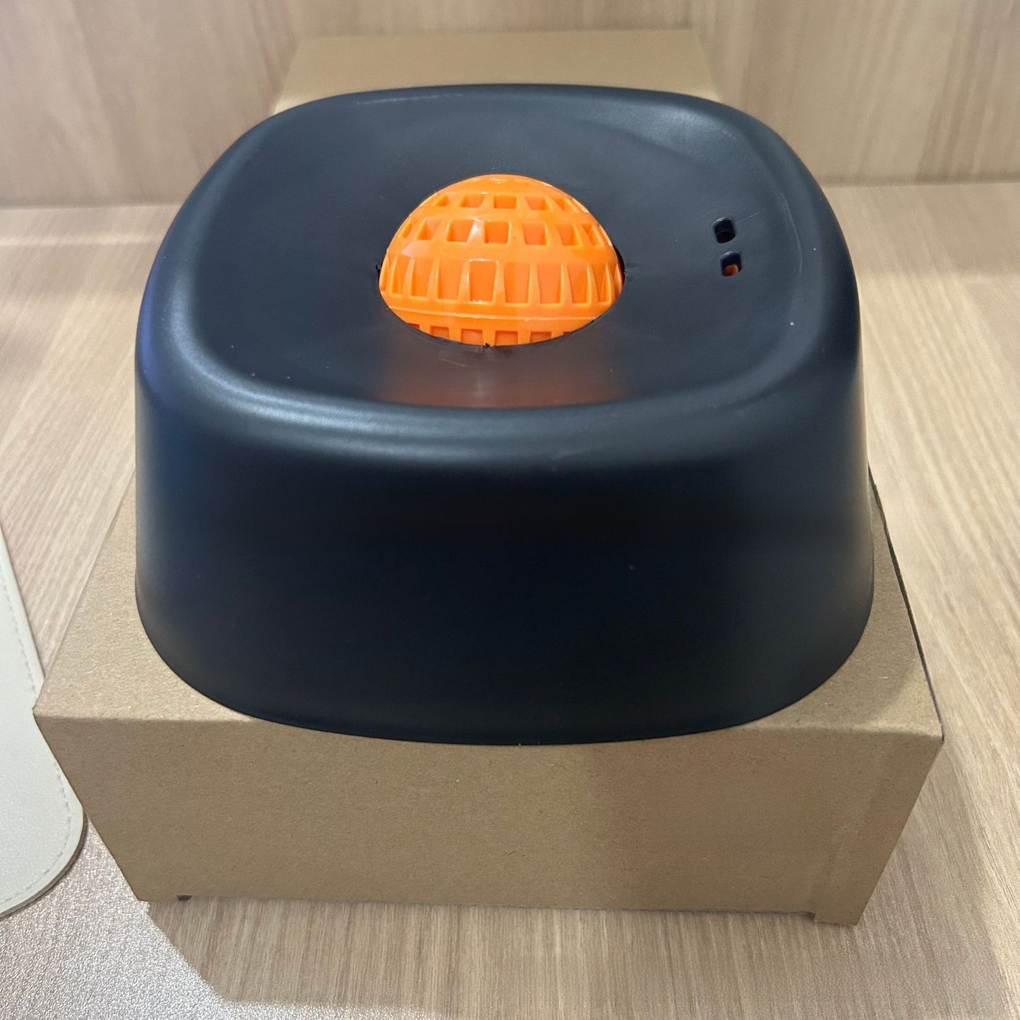 Slow-Feeding Dog Bowl
