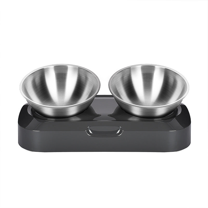 Stainless Steel Pet Feeder Slanted Neck Bowl