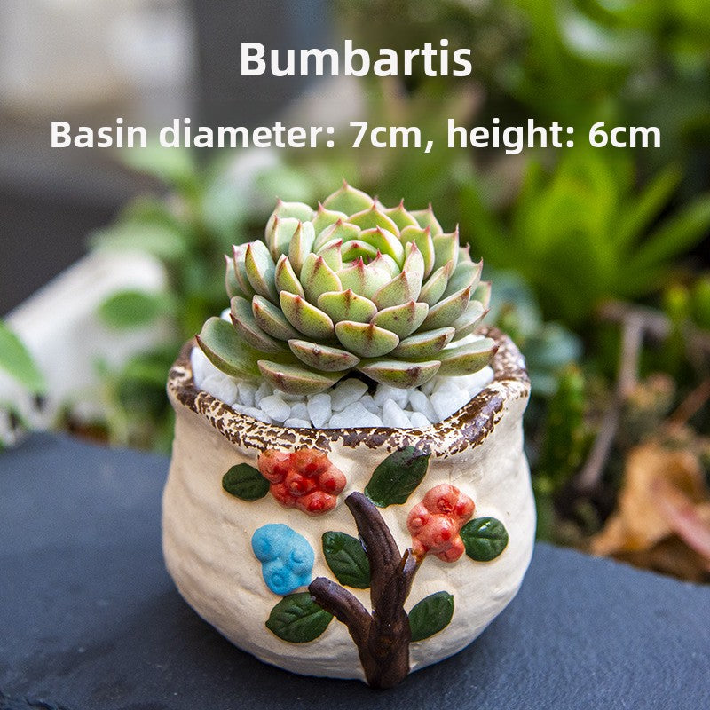Succulent Potted Plants with Decorative Pots
