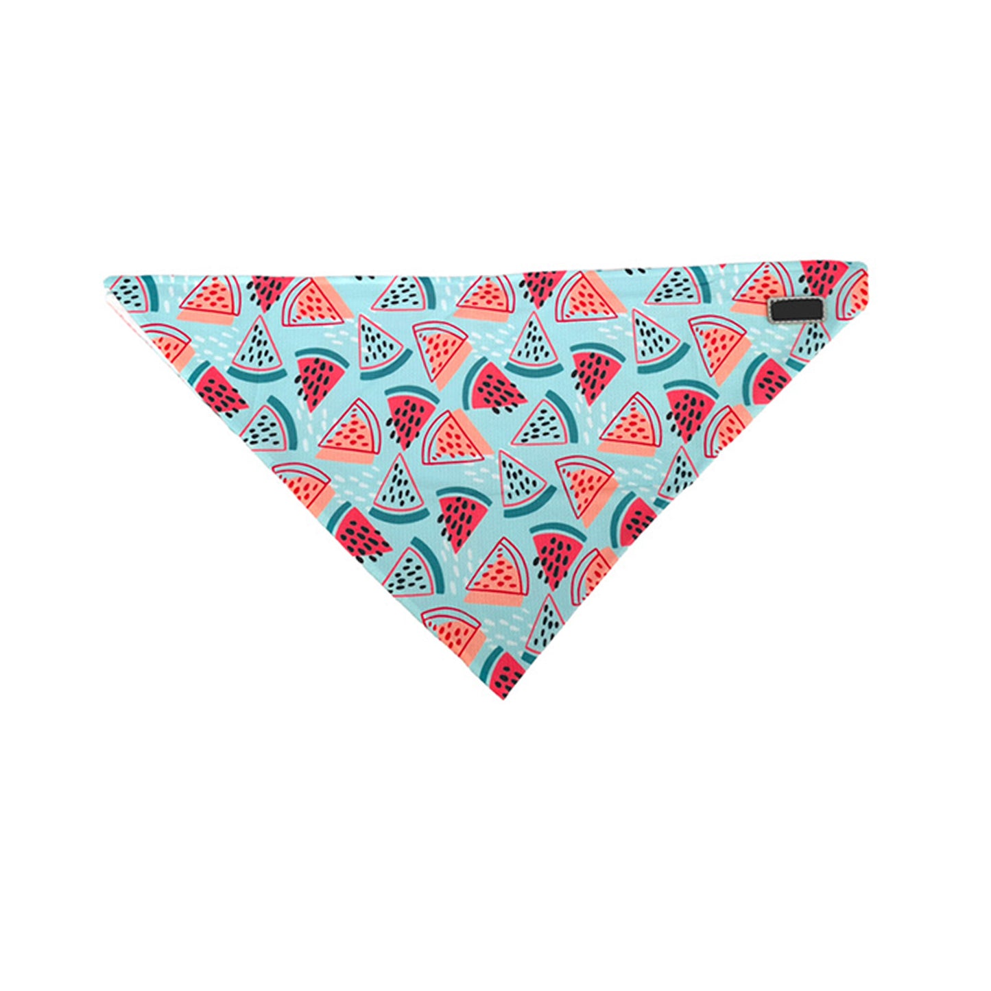 Summer Watermelon Dog Harness Set