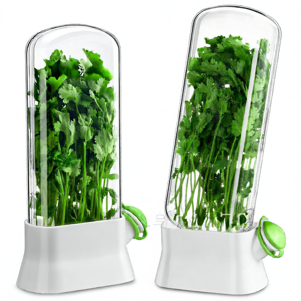 Vegetable Herb Preservation Storage Container