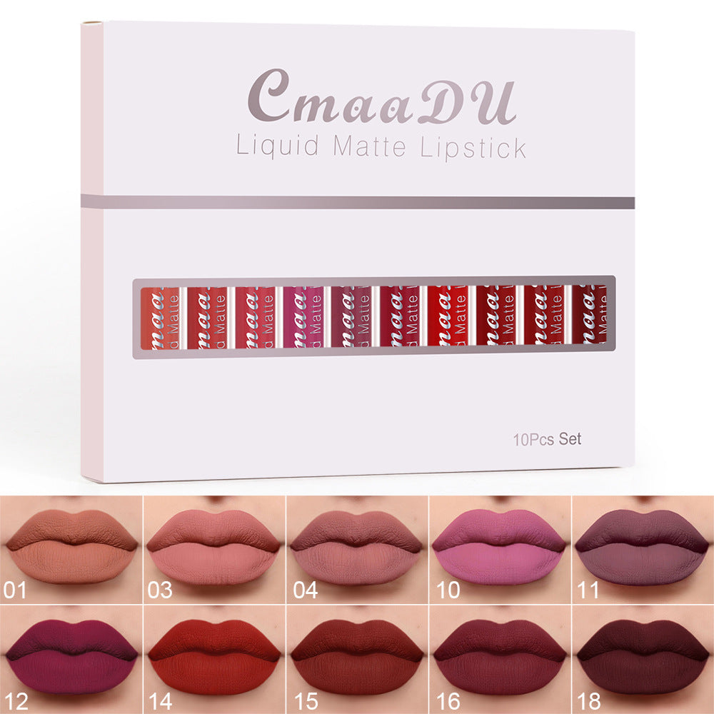 Velvet Matte Lip Gloss