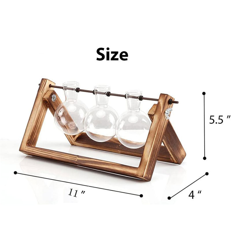 Wooden Hydroponic Plant Display Stand