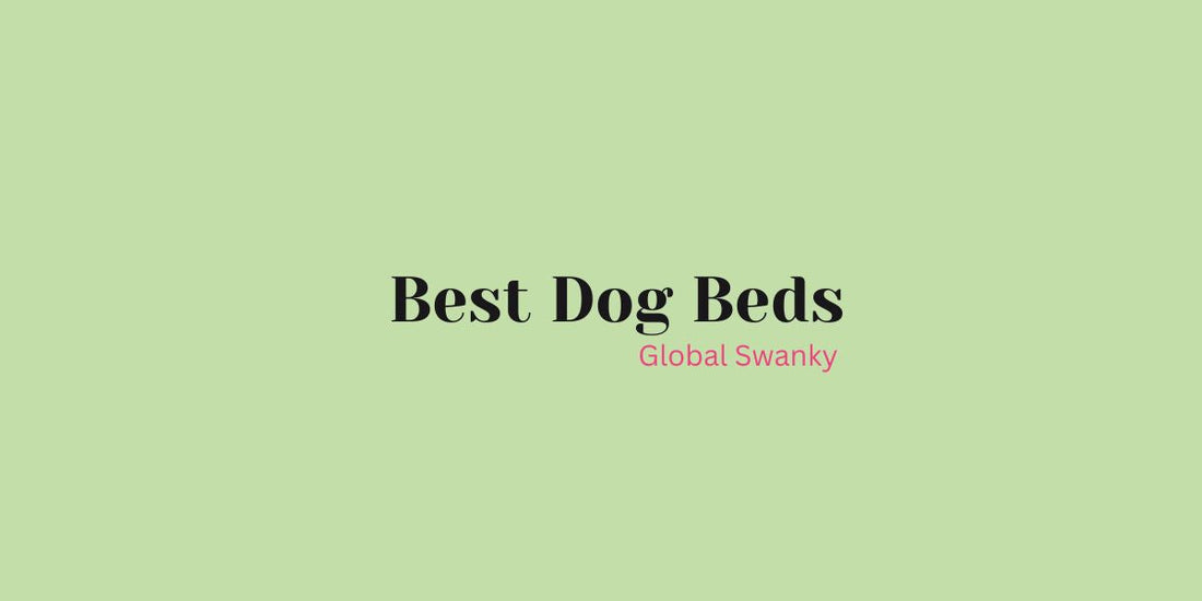 Best Dog Beds