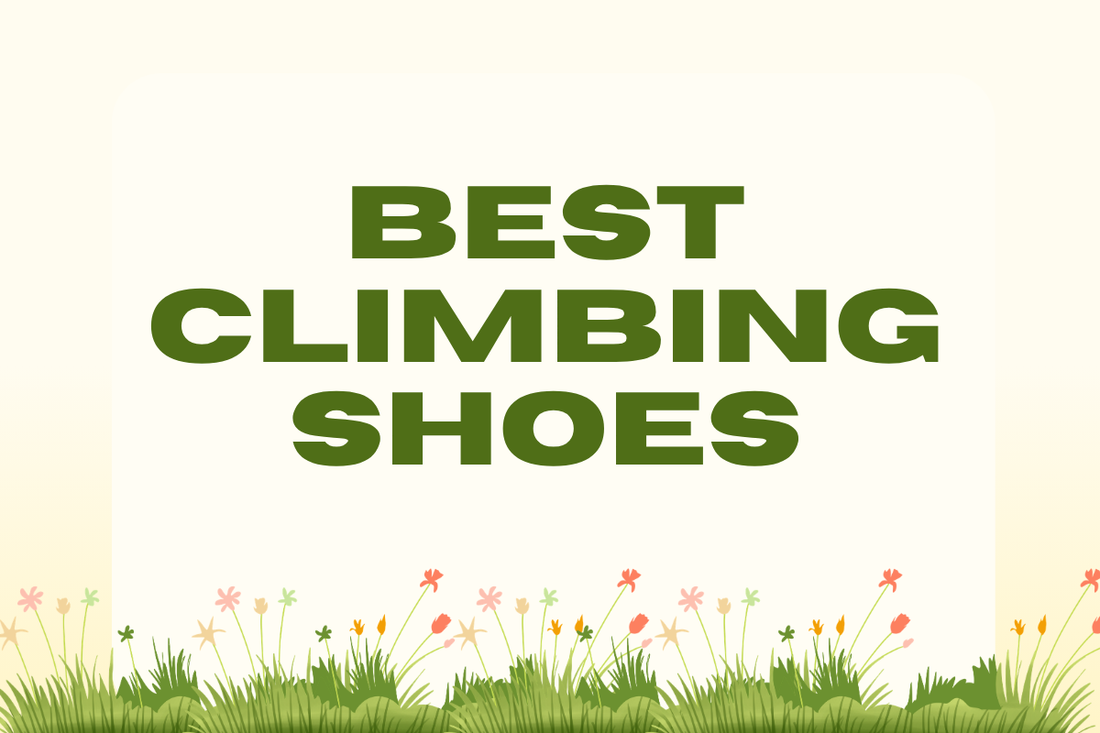 Best Climbing Shoes