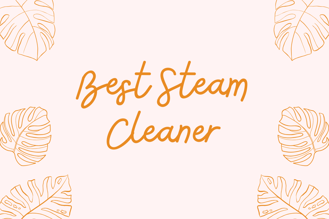 Best Steam Cleaner