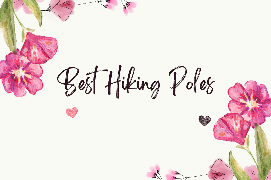 Best Hiking Poles