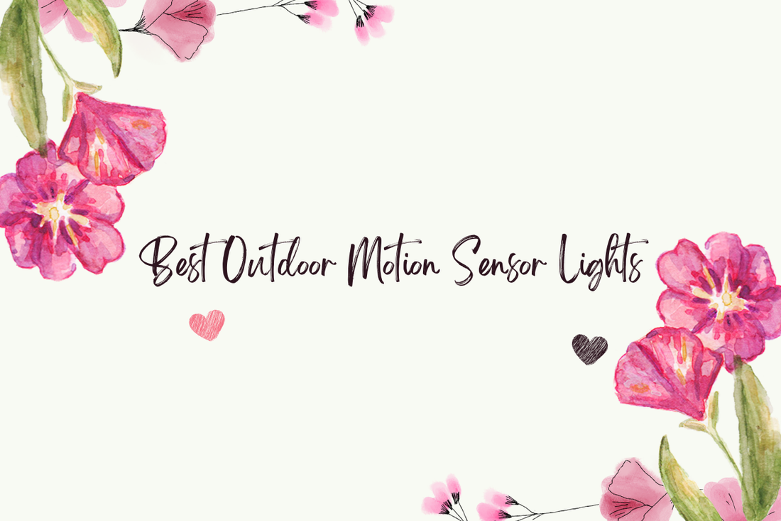 Best Outdoor Motion Sensor Lights