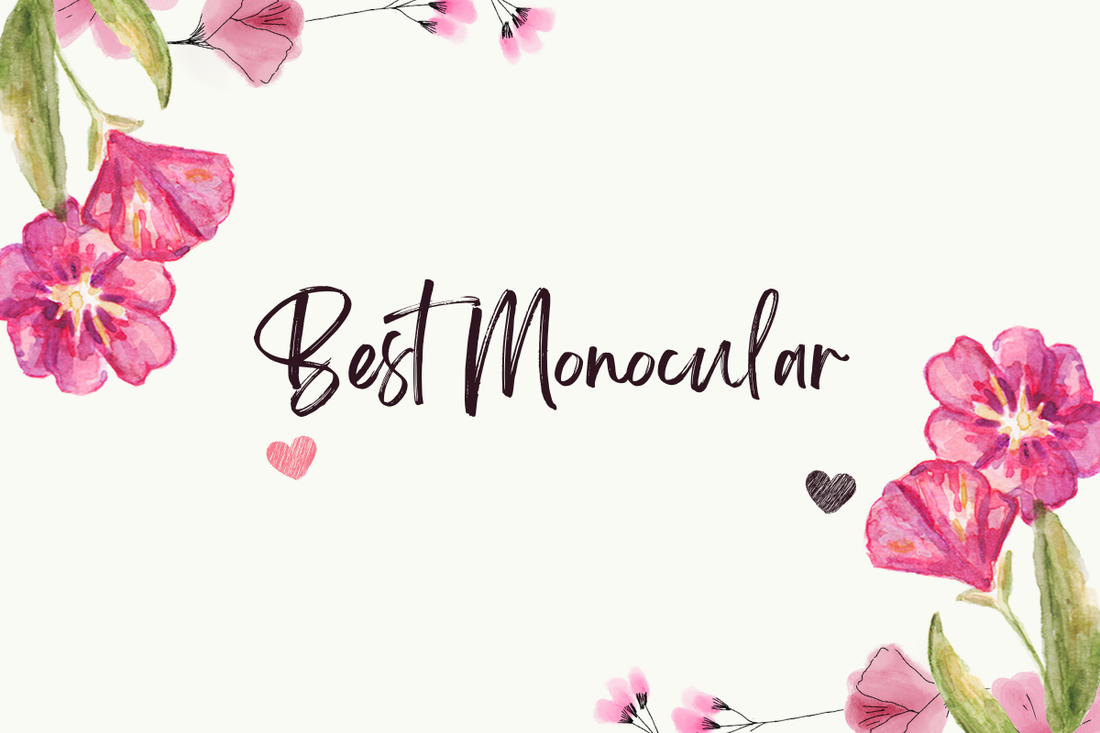Best Monocular