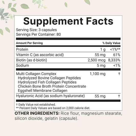 Modern Vitamin Collagen Capsules Multi for Skin and Wellness