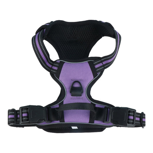 Reflective Dog Harness and Leash for Dogs Daily Walking Use