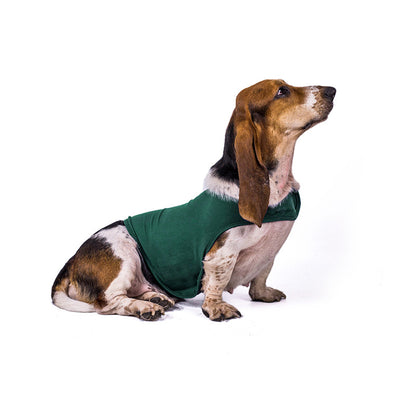 Buy Anxiety Jacket Vest for Dogs & Cats | Calming Comfort Wear